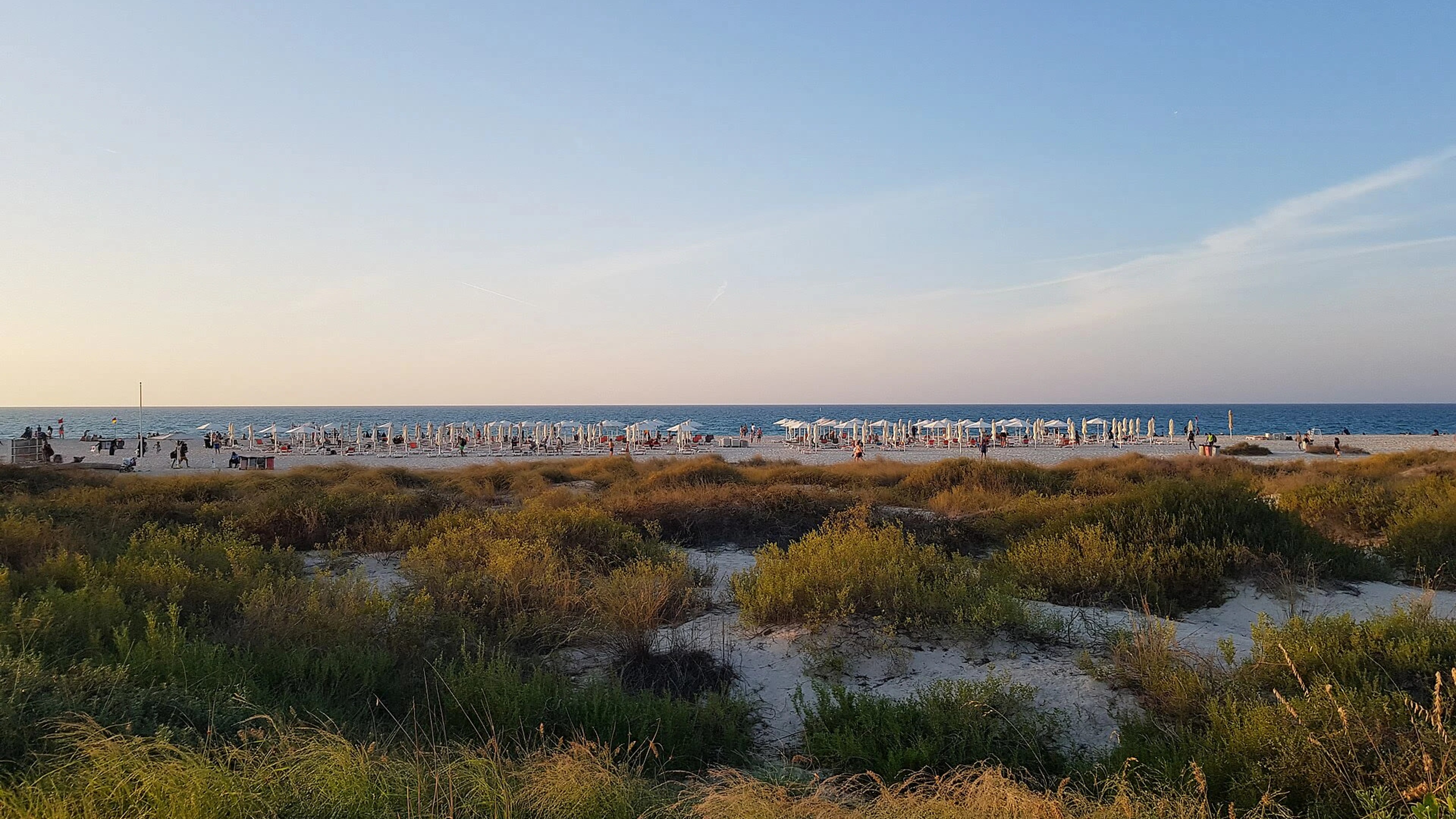 Saadiyat Beach shoreline, dunes and beach umbrellas on Saadiyat Island.