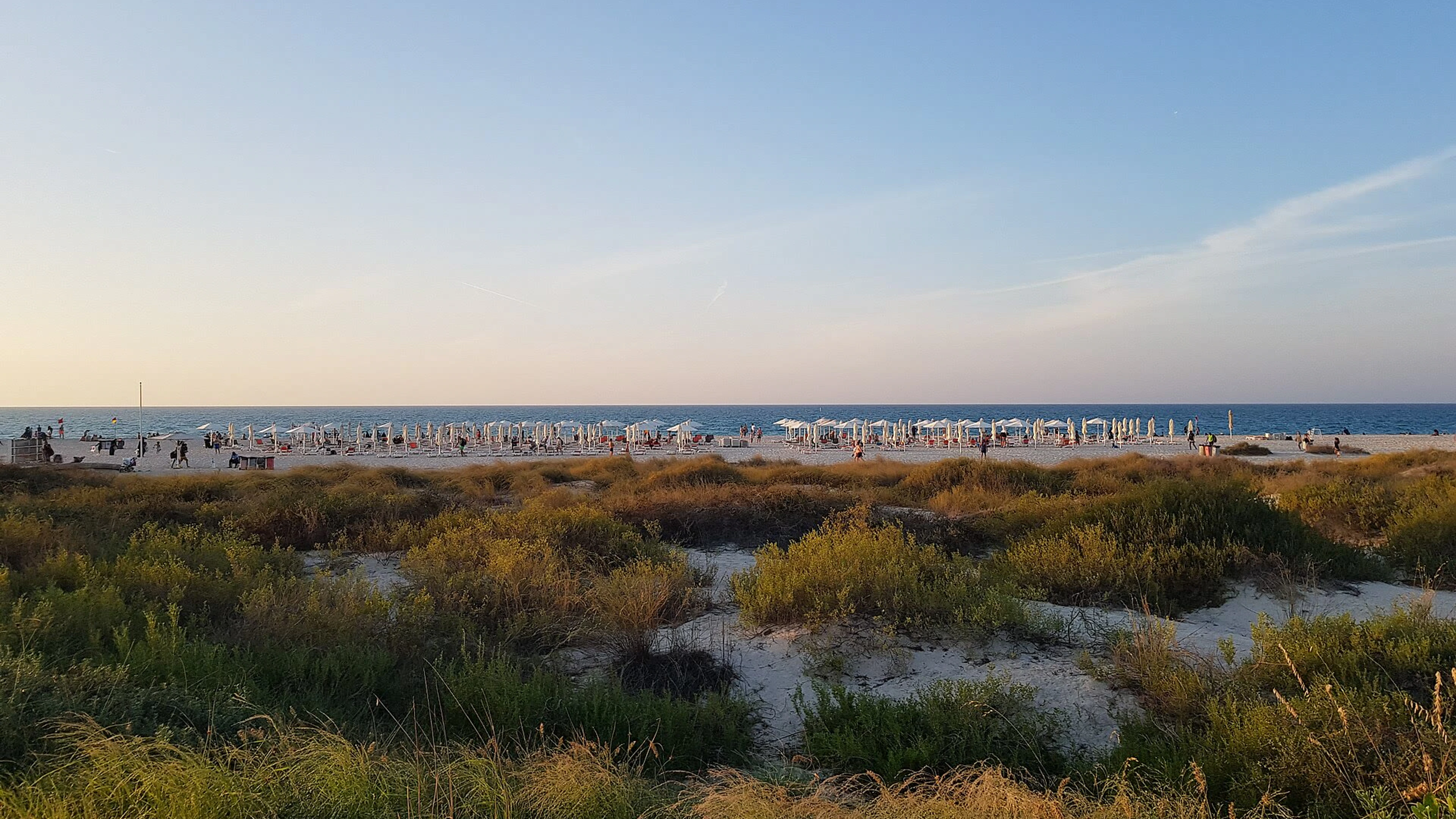 Saadiyat Beach shoreline, dunes and beach umbrellas on Saadiyat Island.