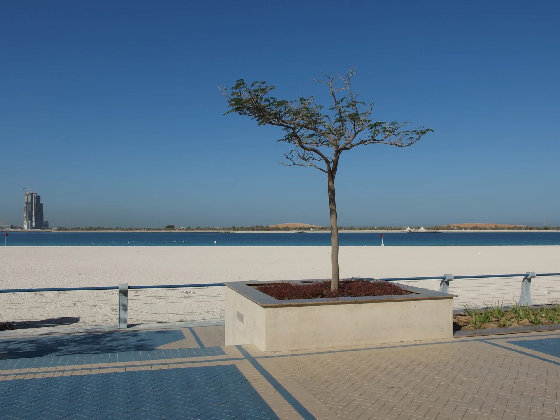 A tree planter and pedestrian promenade beside Abu Dhabi Corniche beach in 2014
